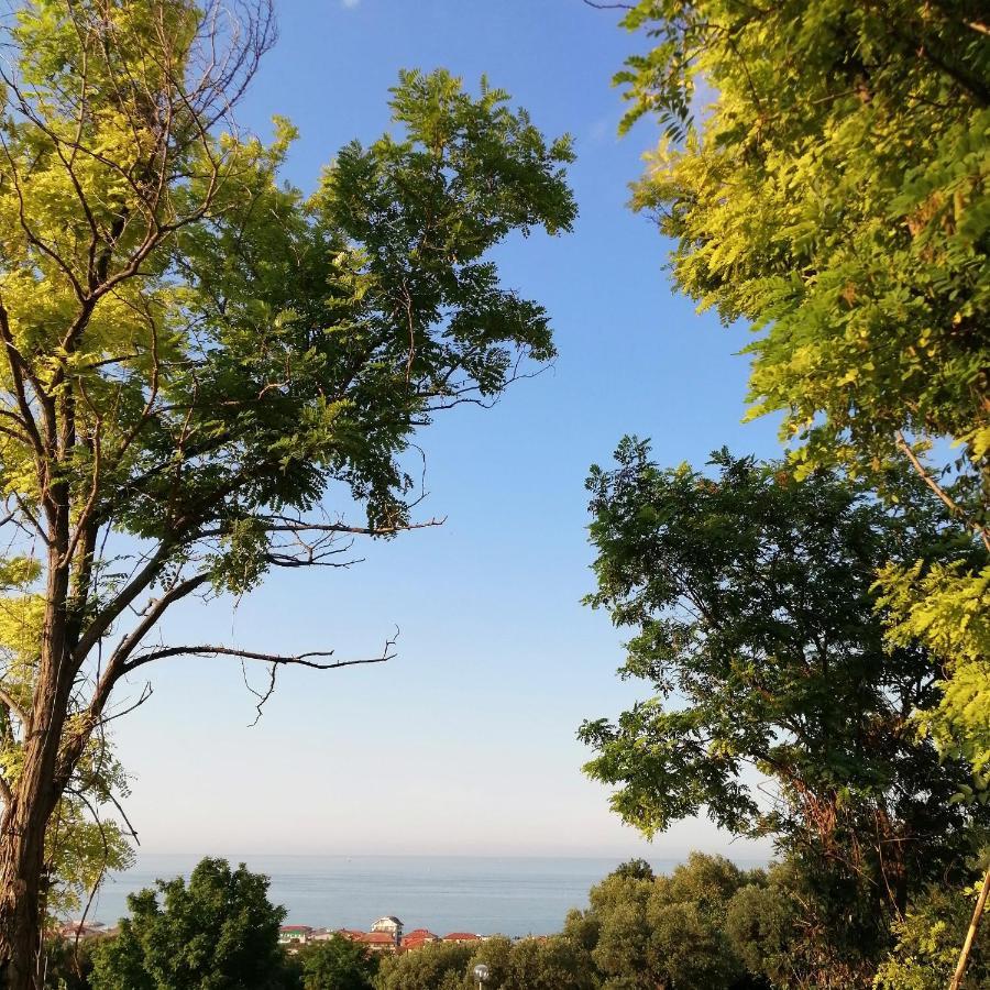 Bed and Breakfast Il Magnolia Francavilla Al Mare Exterior foto